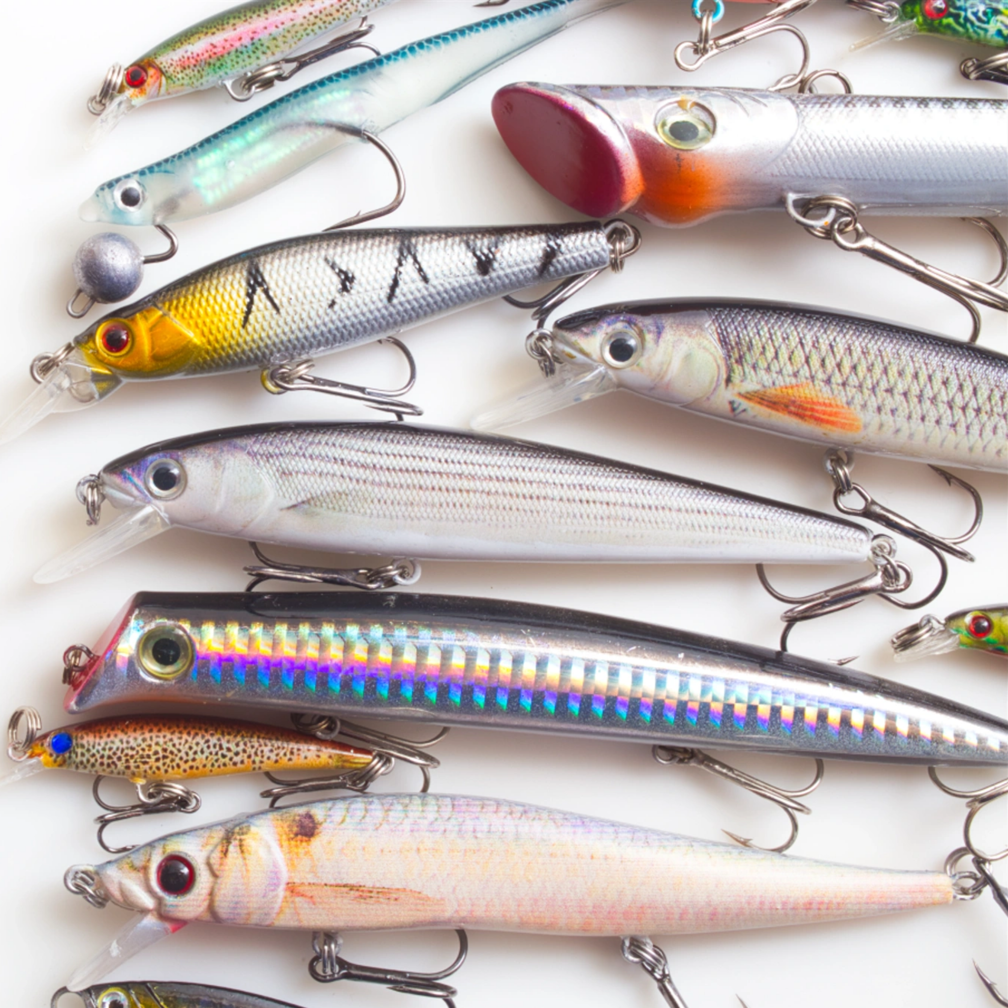 Baits & Lures