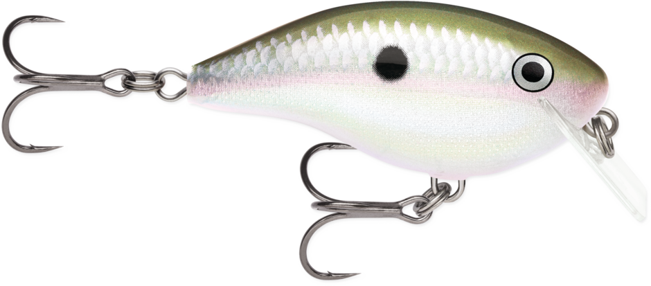 Rapala Ott's Garage Rocco 5