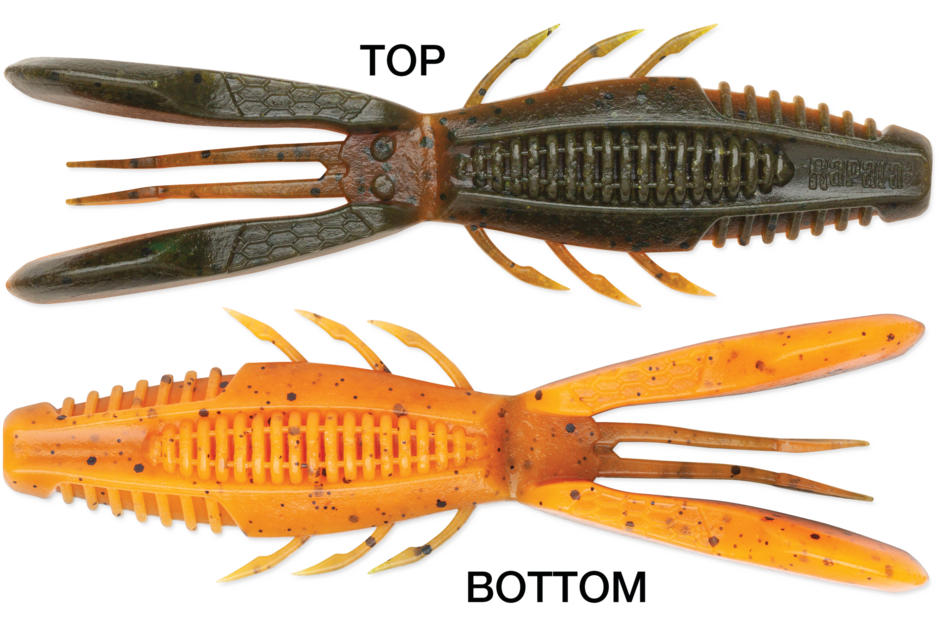 Crush City Bronco Bug