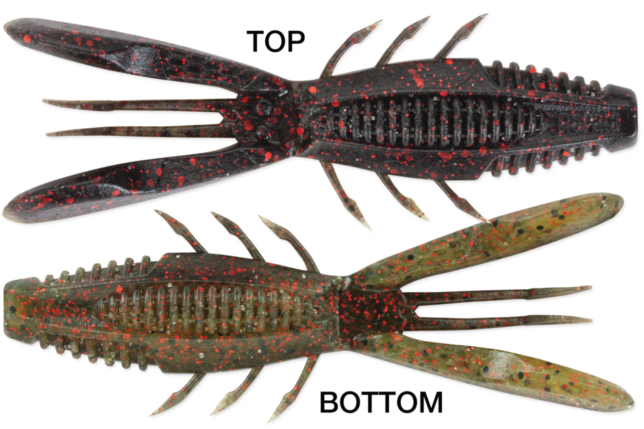 Crush City Bronco Bug