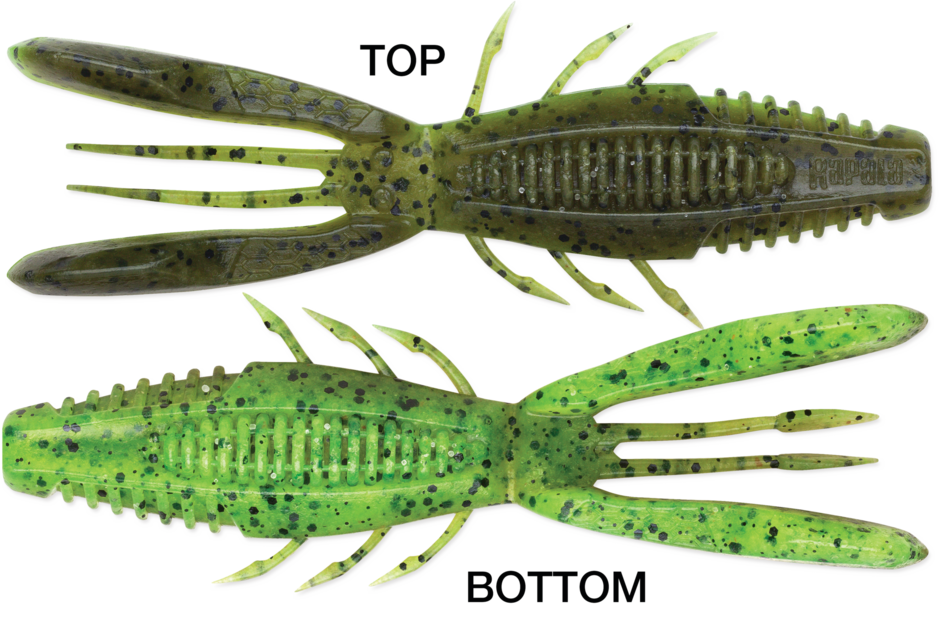 Crush City Bronco Bug