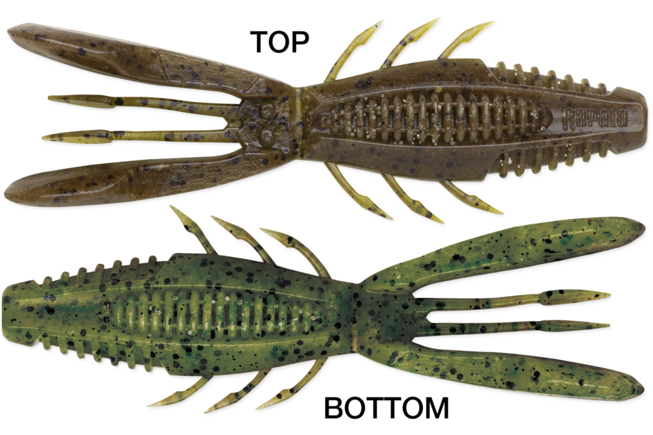 Crush City Bronco Bug