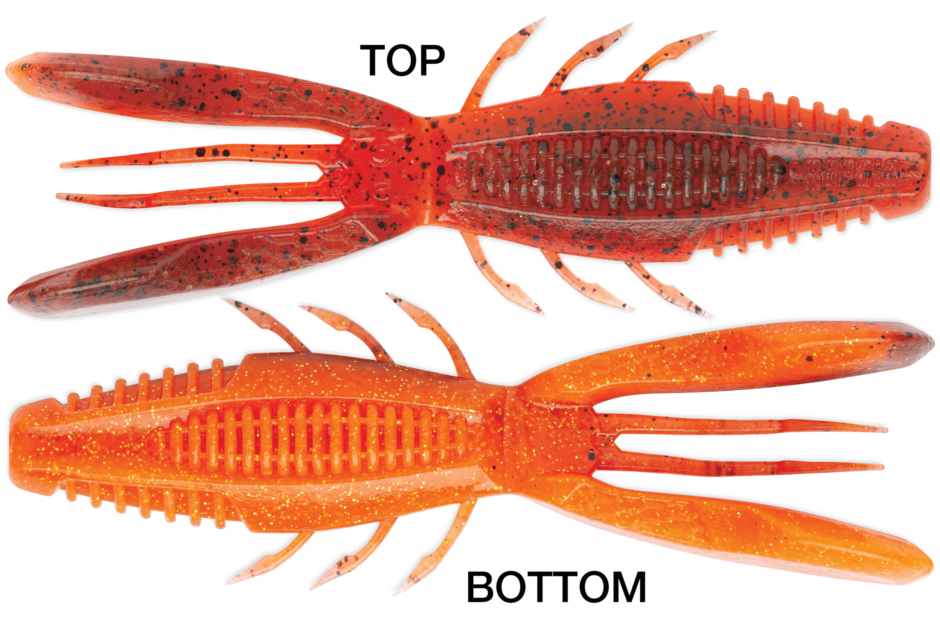 Crush City Bronco Bug