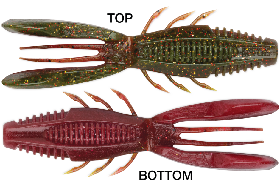 Crush City Bronco Bug