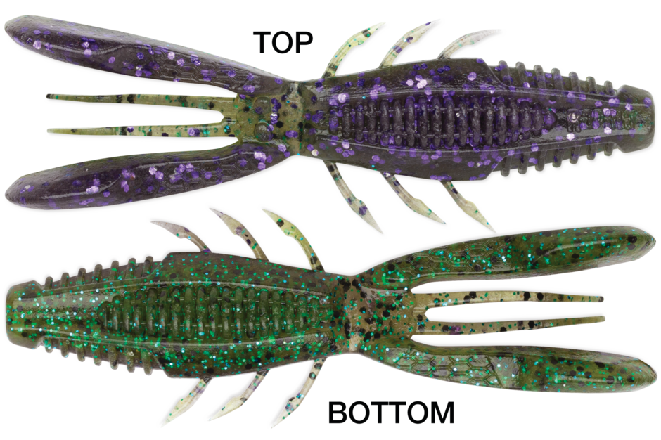 Crush City Bronco Bug