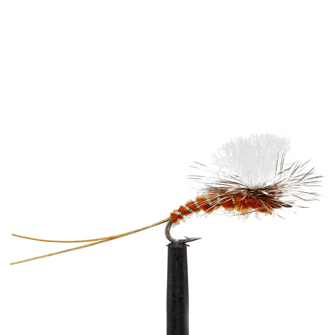 Jackson Cardinal Bulk Premium Hand Tied Flies