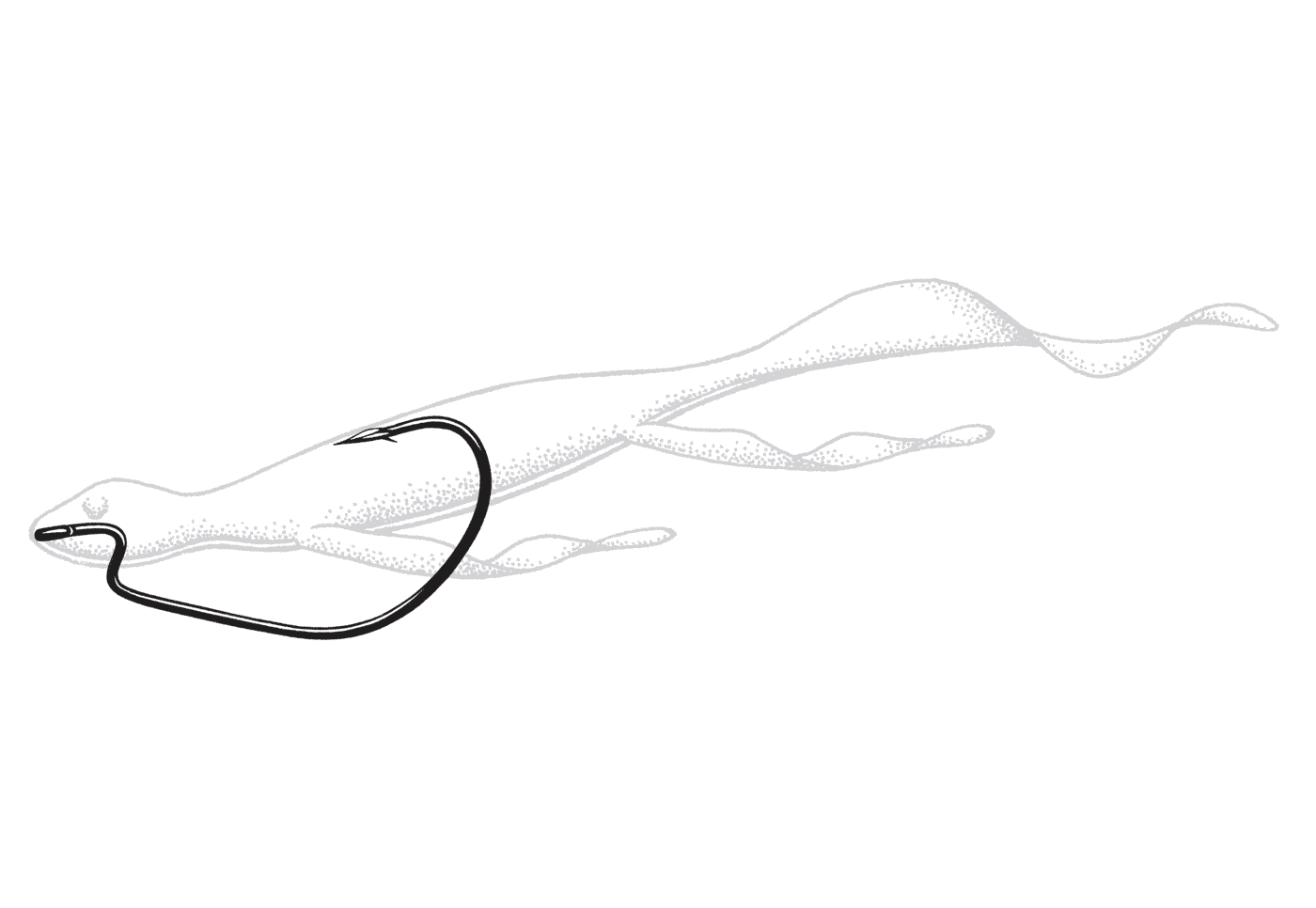 Owner Bass J Hooks with Cutting Point