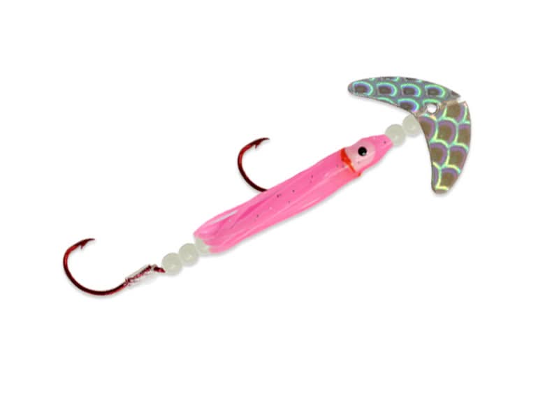 Cha Cha Sockeye Squidded