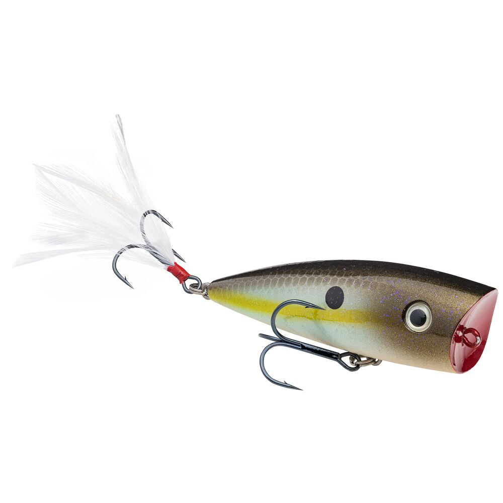 Strike King KVD Splash Topwater