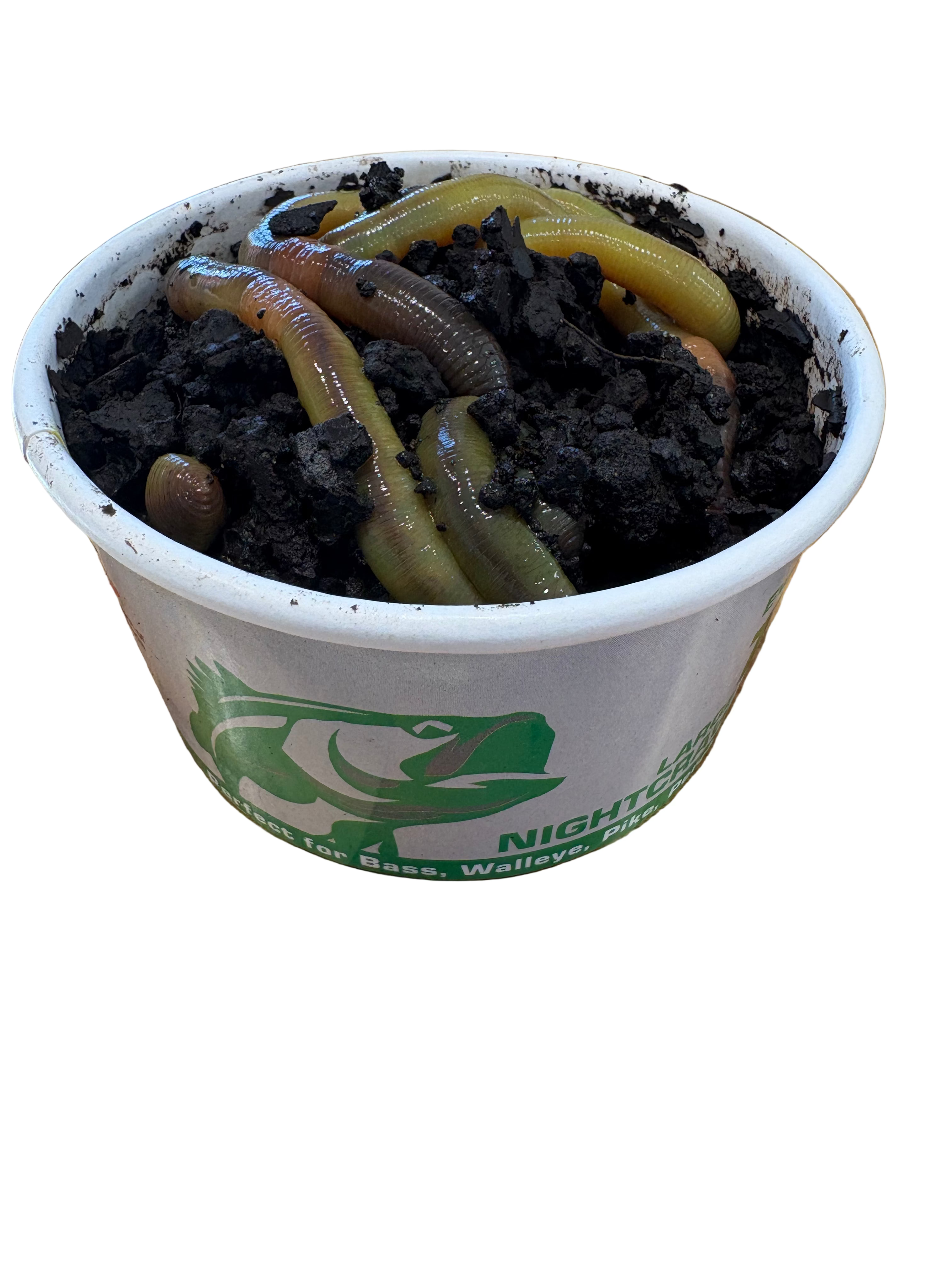 White container with soil and worms on a wooden surface