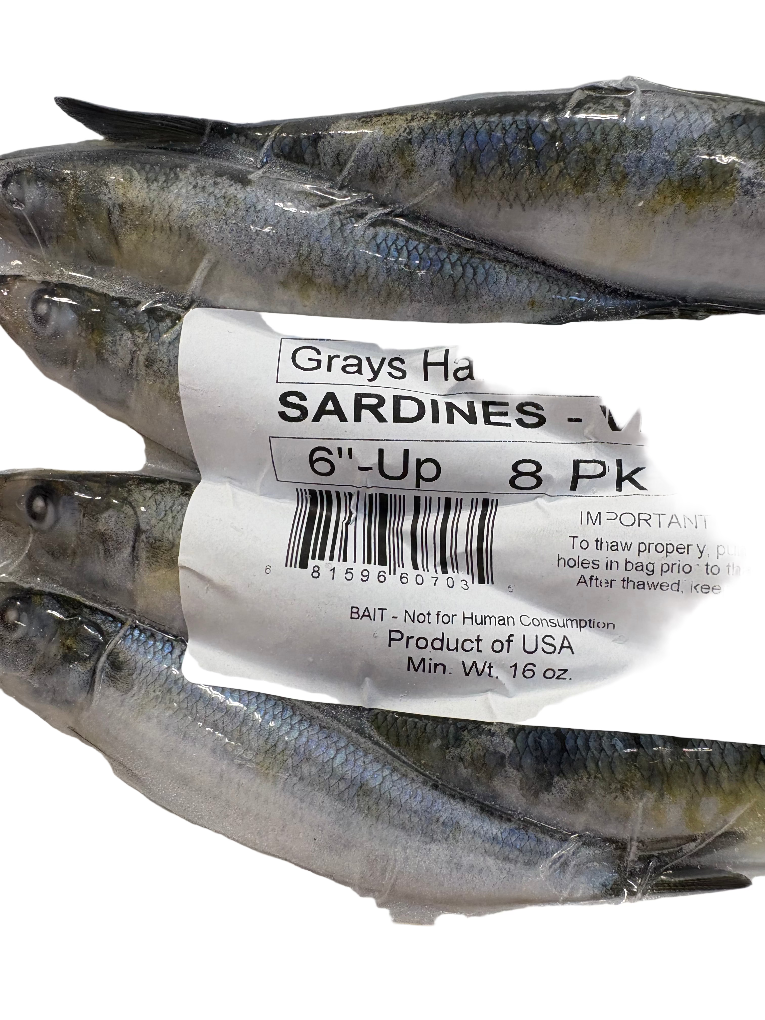 Packaged sardines with a label indicating 'Grays Harbor Bait' on a clear background.