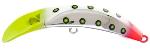 Brad's KillerFish Size 15