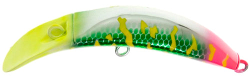 Brad's KillerFish Size 15