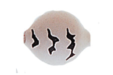 Yakima Bait Lil Corky 6-Pack