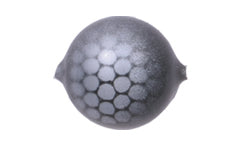 Yakima Bait Lil Corky 6-Pack