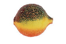 Yakima Bait Lil Corky 6-Pack