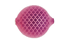 Yakima Bait Lil Corky 6-Pack