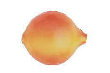 Yakima Bait Lil Corky 6-Pack