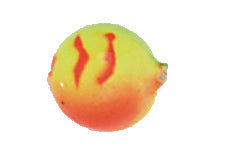 Yakima Bait Lil Corky 6-Pack