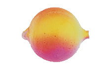 Yakima Bait Lil Corky 6-Pack