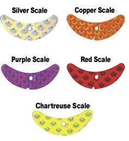 Smile Blade Scale 5-Pack