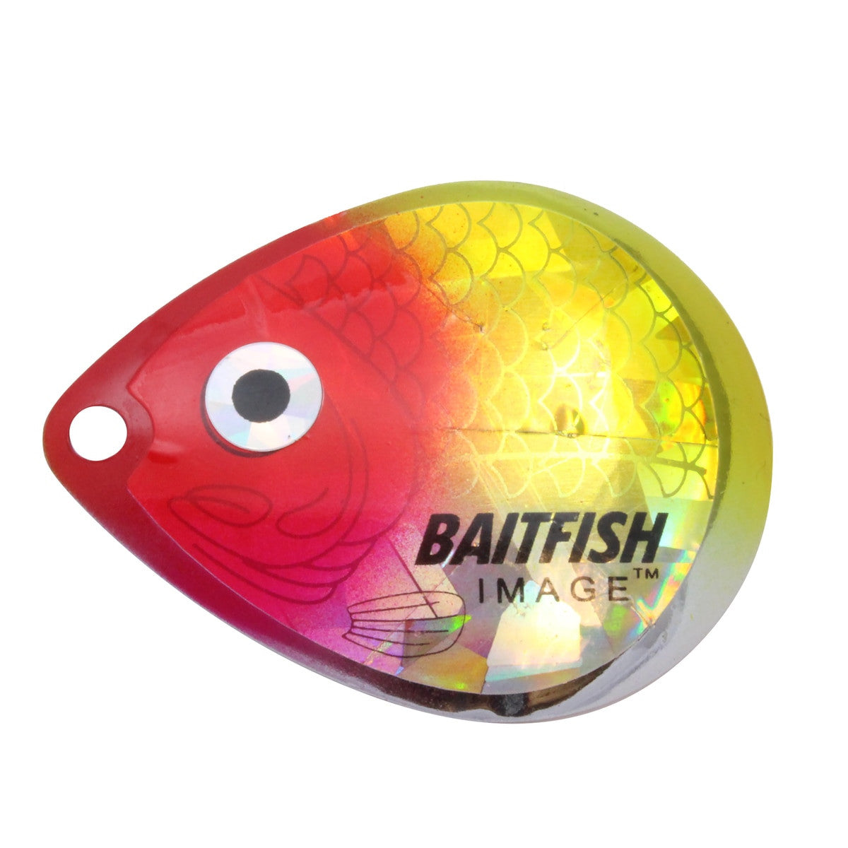 Northland Tackle Baitfish-Image Colorado Blades