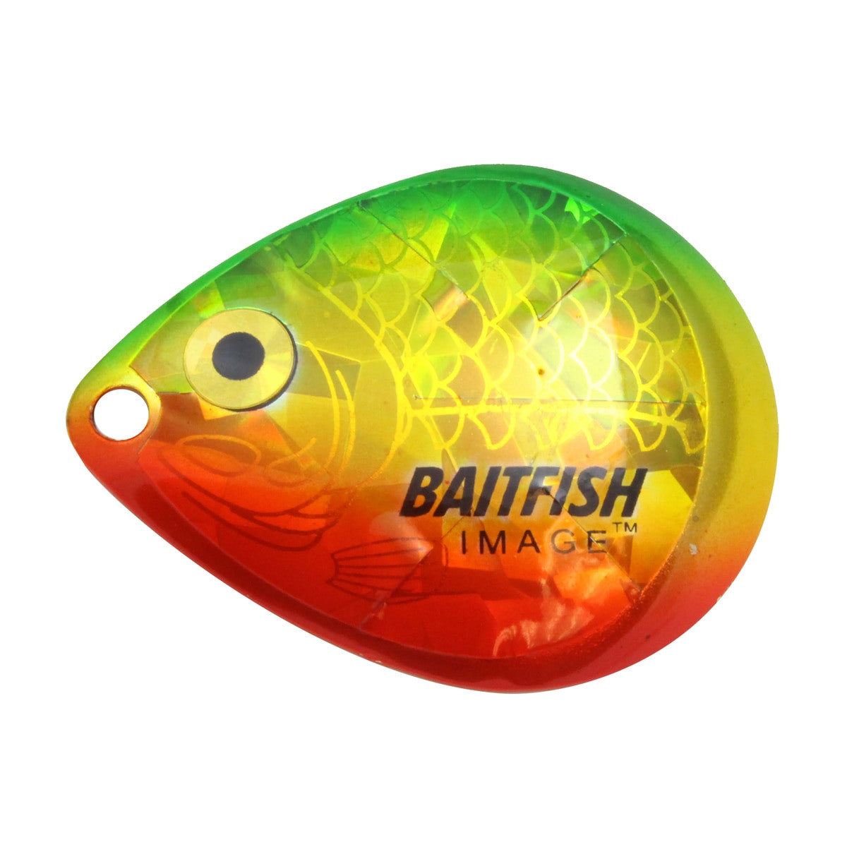 Northland Tackle Baitfish-Image Colorado Blades