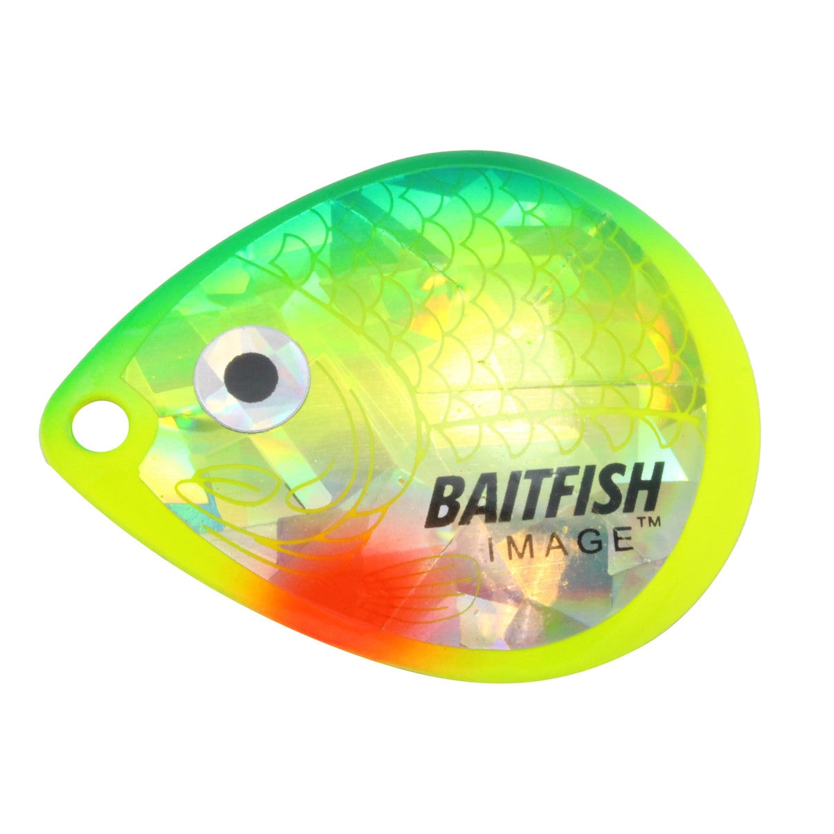 Northland Tackle Baitfish-Image Colorado Blades
