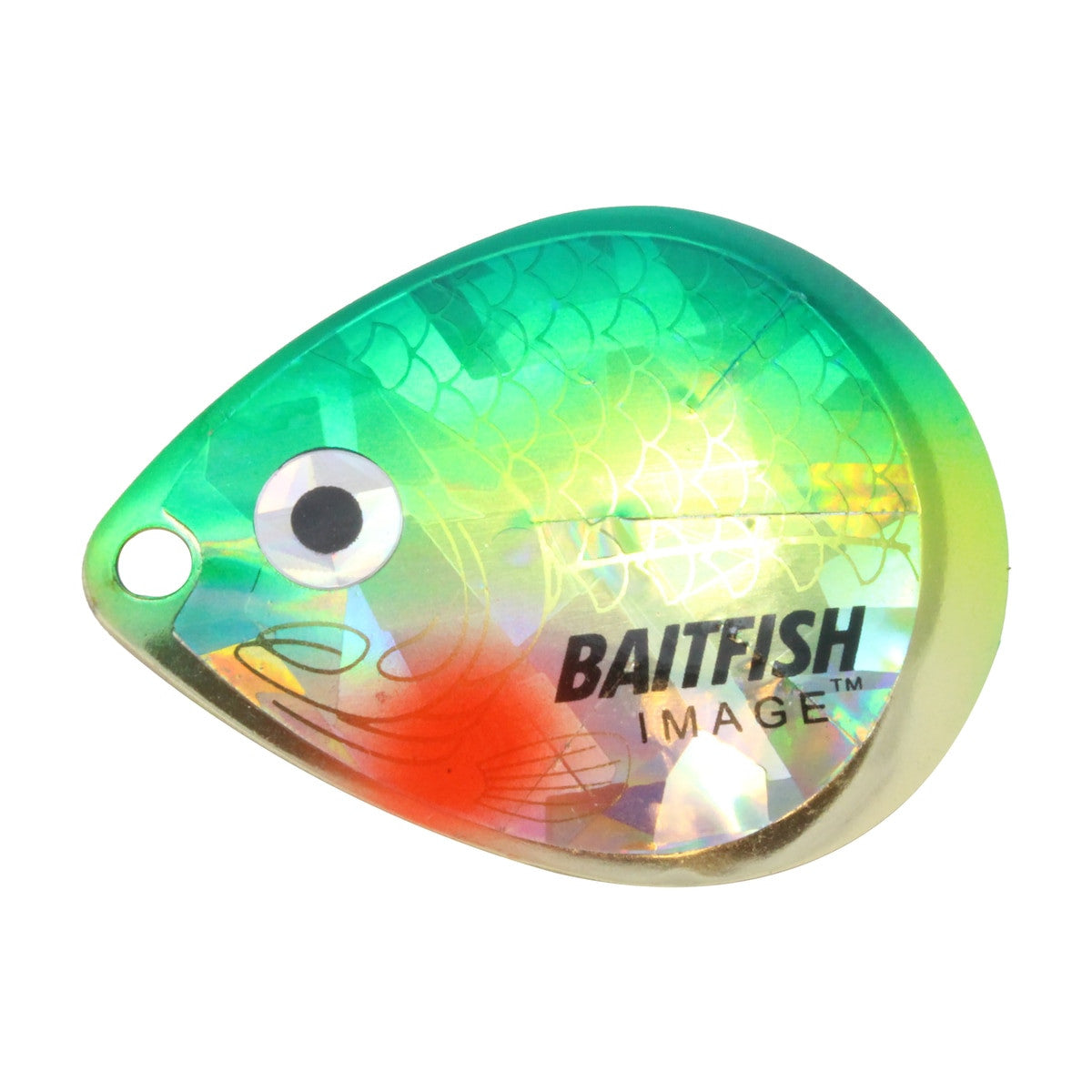 Northland Tackle Baitfish-Image Colorado Blades
