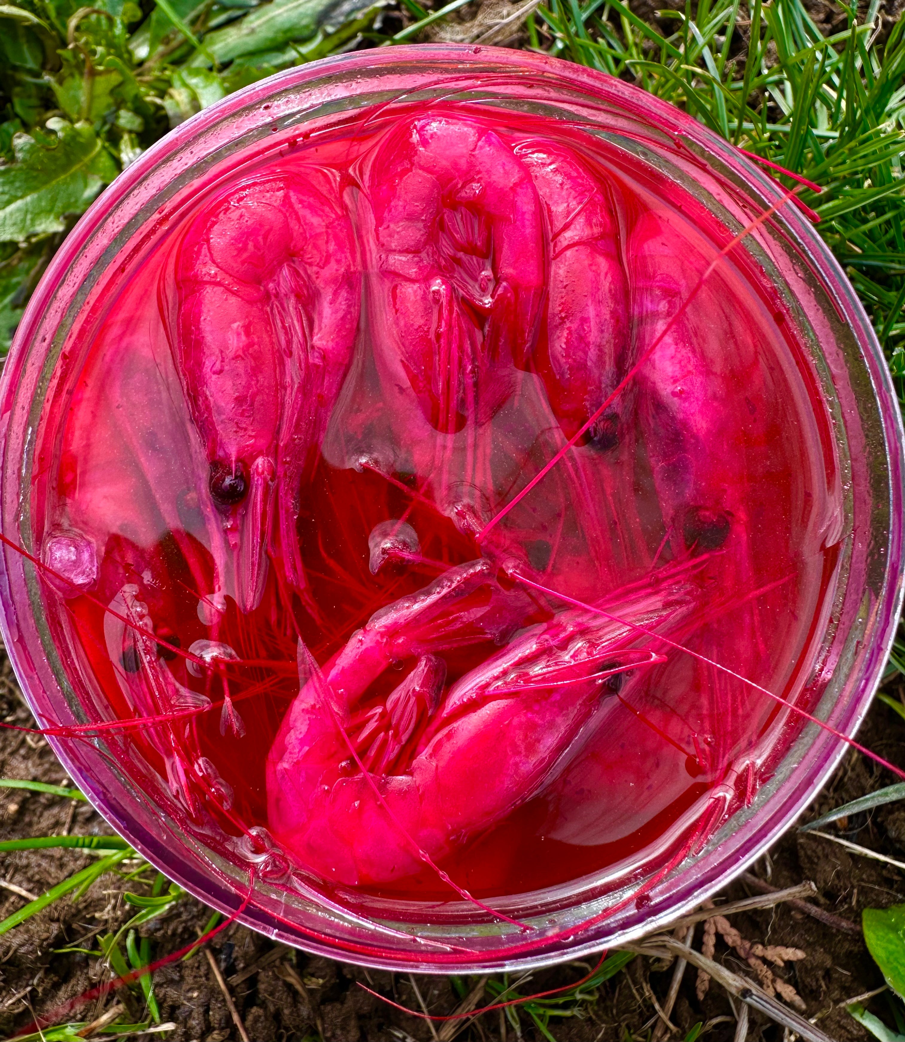 Millennial Bait Company Coon Shrimp