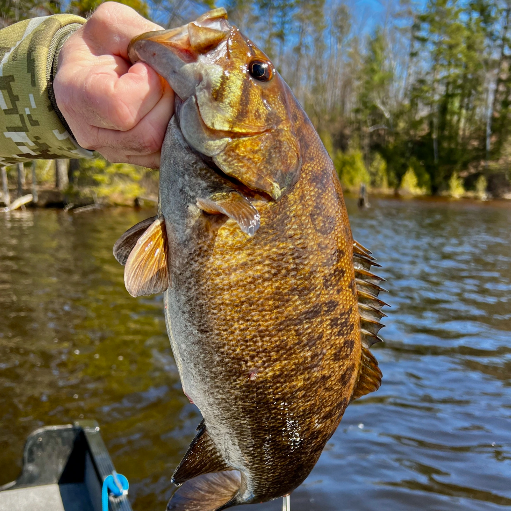 Bass Fishing