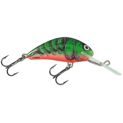Salmo Hornet