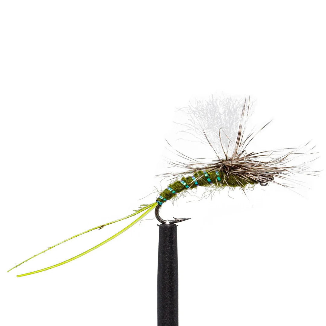 Jackson Cardinal Bulk Premium Hand Tied Flies