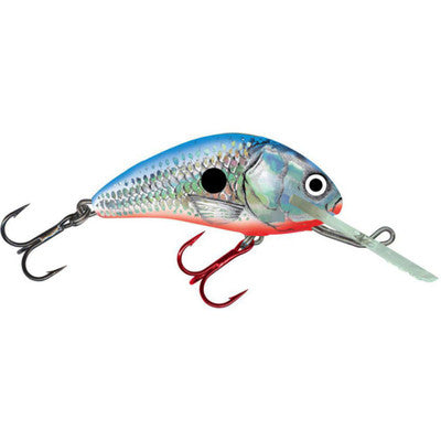 Salmo Hornet