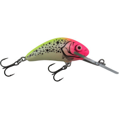 Salmo Hornet