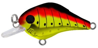 Bill Lewis The Gnat