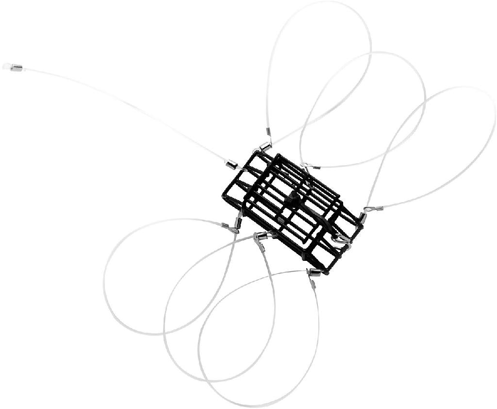 Pucci 6-Loop Crab Snare