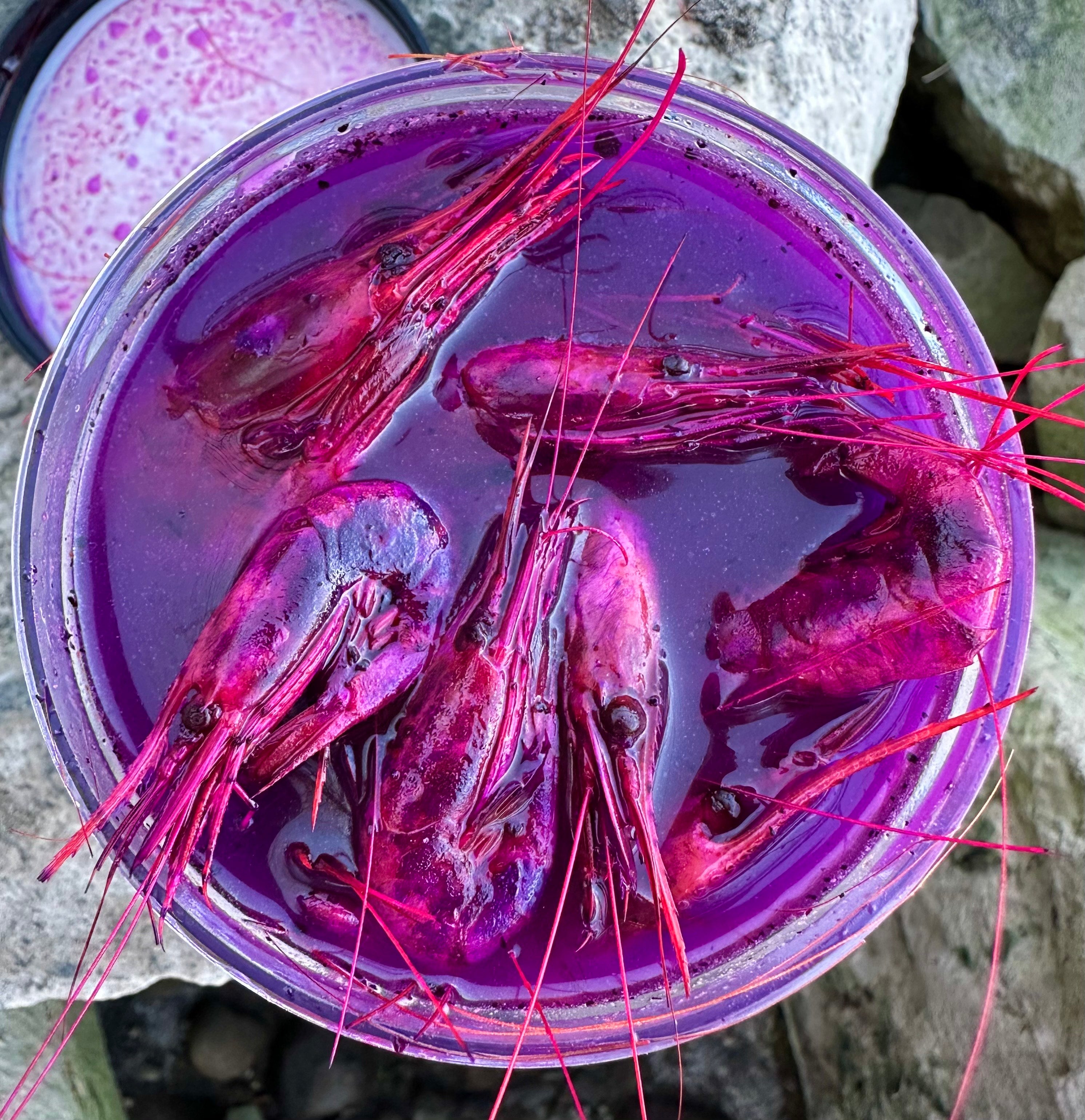 Millennial Bait Company Coon Shrimp
