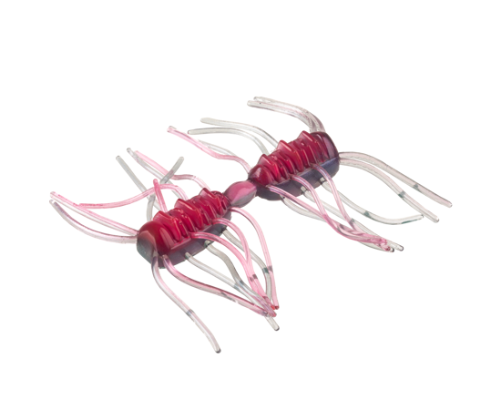 Strike King Sexy Bug